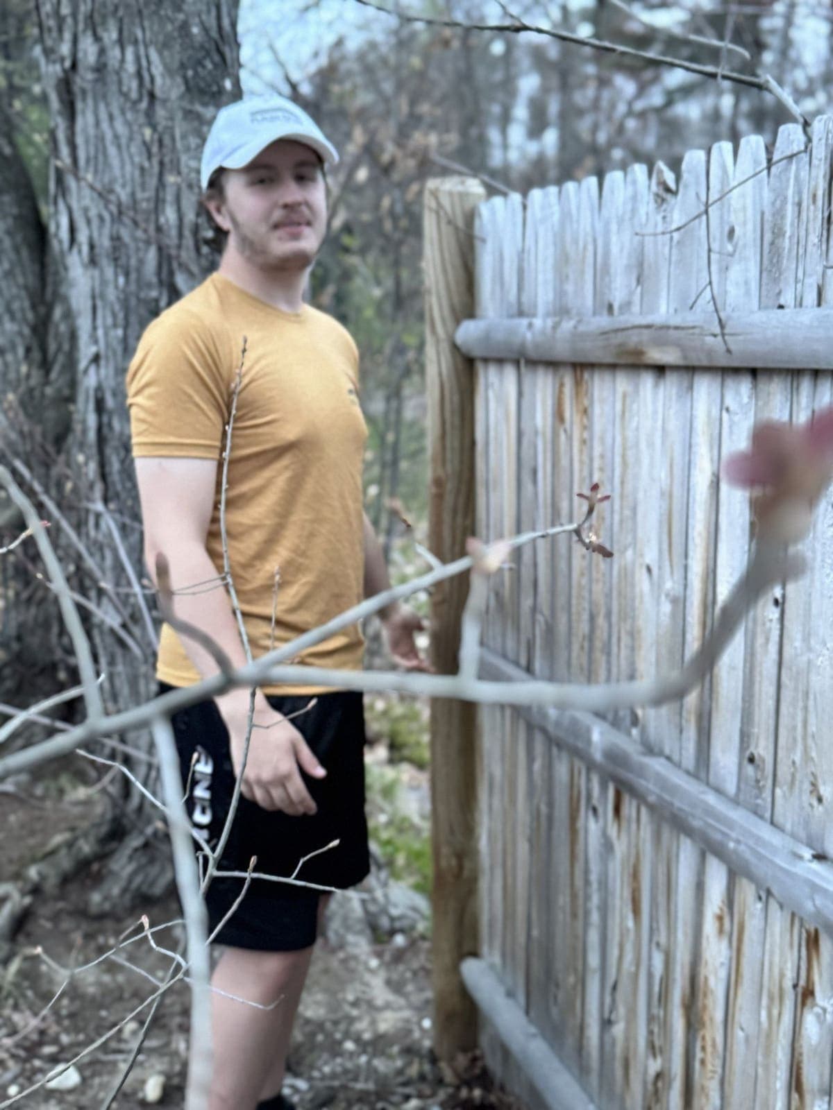 Crew member assessing a weathered stockade fence