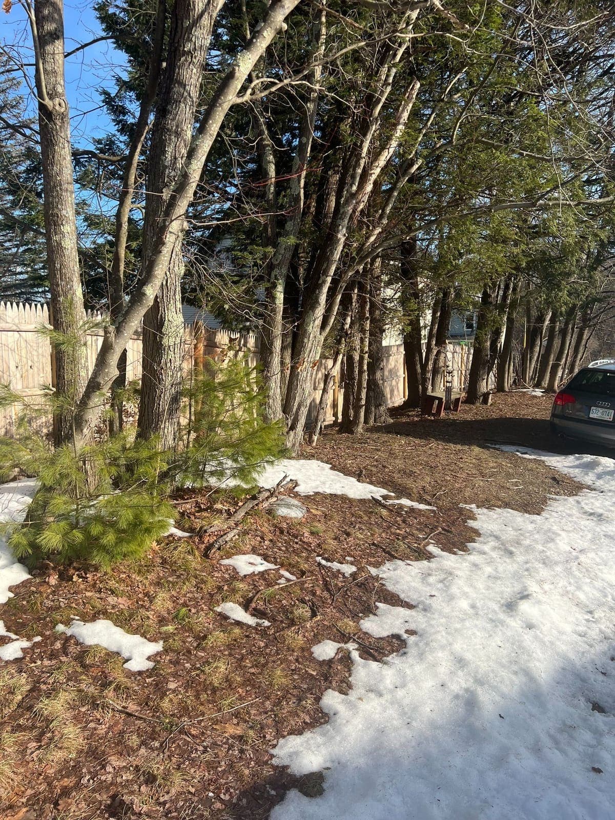 Prepping a fence line along an aging stockade